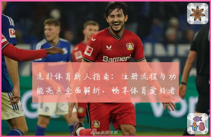 虎扑体育新人指南：注册流程与功能亮点全面解析，畅享体育爱好者的专属交流平台