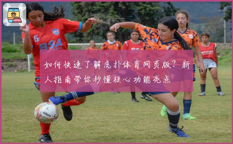 如何快速了解虎扑体育网页版?新人指南带你秒懂核心功能亮点